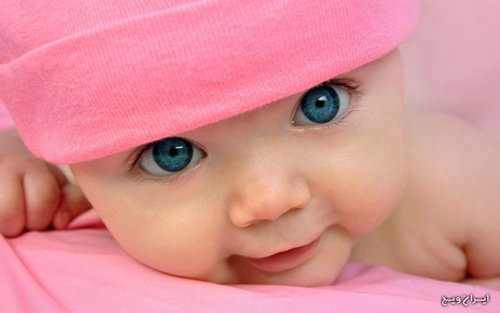 مطالب آموزشی راجع به تیروئید